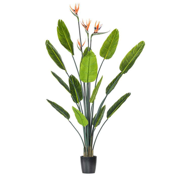 5' Silk Bird Of Paradise Palm Tree w/Plastic Pot -Green - TB191250