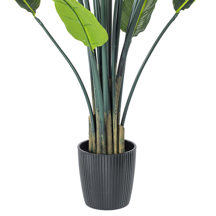 5' Silk Bird Of Paradise Palm Tree w/Plastic Pot -Green - TB191250