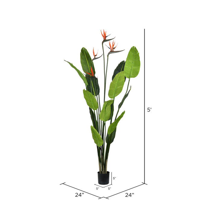 5' Silk Bird Of Paradise Palm Tree w/Plastic Pot -Green - TB191250