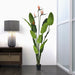 5' Silk Bird Of Paradise Palm Tree w/Plastic Pot -Green - TB191250