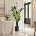 6' Flowering Bird Of Paradise Silk Plant w/Plastic Pot -Green - TB191260