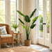5' Traveler's Palm Silk Plant w/Pot -Green - TB191850