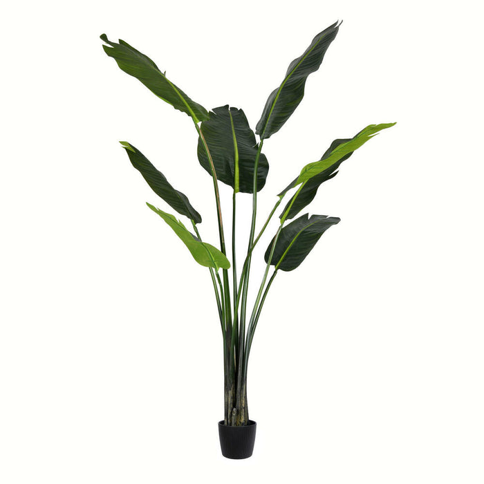 5' Travelers Silk Palm Tree w/Pot -Green - TB191850