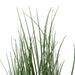 24" IFR PVC Ryegrass Artificial Plant w/Pot -Green - TN170124
