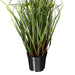 24" IFR PVC Seeded Eucalyptus Grass Artificial Plant w/Pot -Green - TN170224