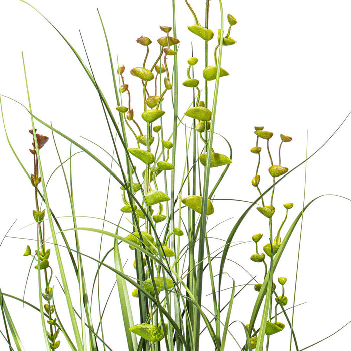 36" IFR PVC Seeded Eucalyptus Grass Artificial Plant w/Pot -Green - TN170236