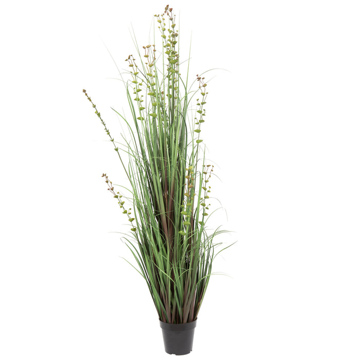 60" IFR PVC Seeded Eucalyptus Grasss Artificial Plant w/Pot -Green - TN170260