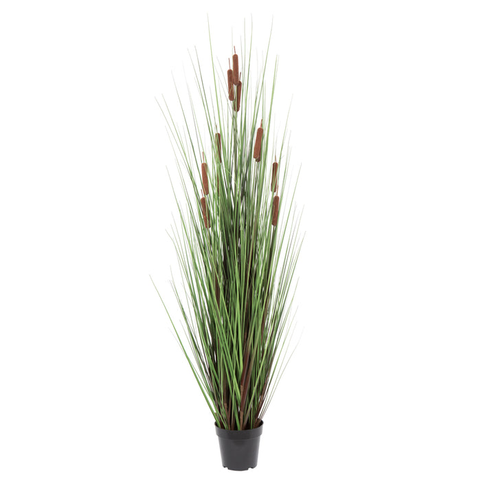 60" IFR PVC Grass & Cattails Artificial Plant w/Pot -Green/Brown - TN170360