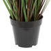 60" IFR PVC Grass & Cattails Artificial Plant w/Pot -Green/Brown - TN170360