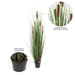 60" IFR PVC Grass & Cattails Artificial Plant w/Pot -Green/Brown - TN170360