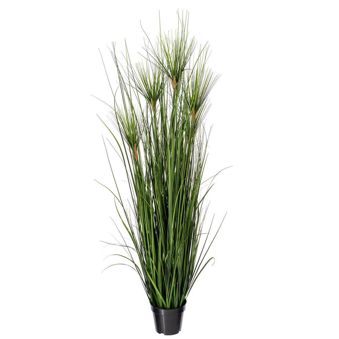 60" IFR PVC Brushed Grasss Artificial Plant w/Pot -Green - TN170460