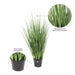 24" IFR PVC Extra Full Grass Artificial Plant w/Pot -Green - TN170524