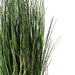 24" IFR PVC Curled Grass Artificial Plant w/Pot -Green - TN170624