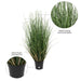 24" IFR PVC Curled Grass Artificial Plant w/Pot -Green - TN170624