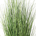 36" IFR PVC Curled Grass Artificial Plant w/Pot -Green - TN170636