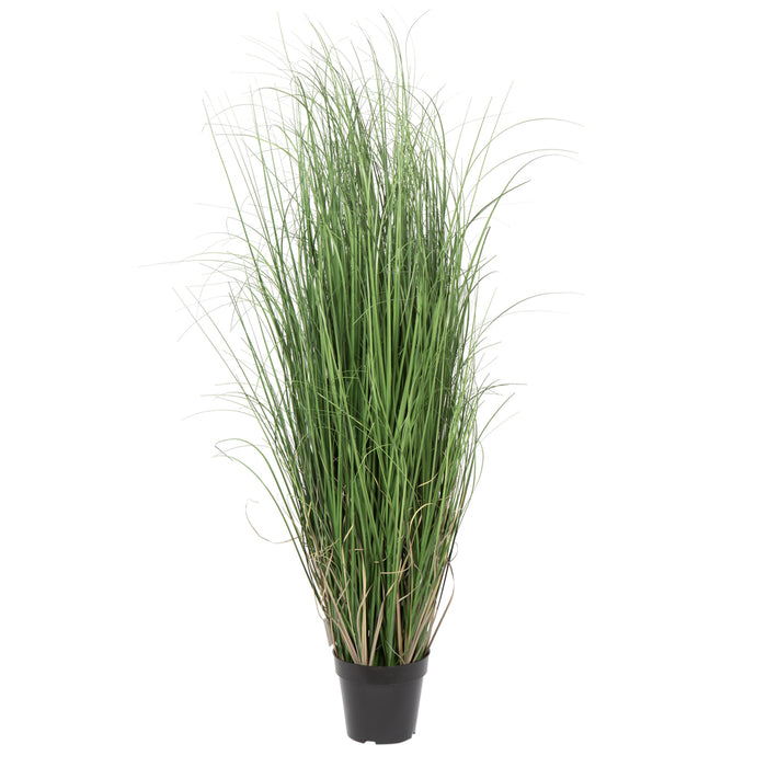 48" IFR PVC Curled Grass Artificial Plant w/Pot -Green - TN170648