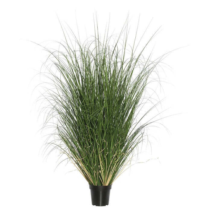 60" IFR PVC Curled Grasss Artificial Plant w/Pot -Green - TN170660