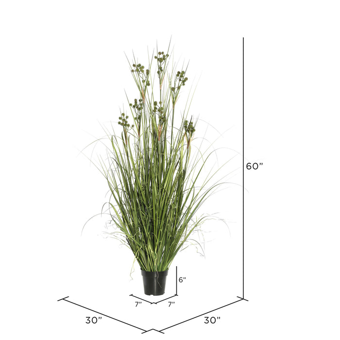 60" IFR PVC Grasss & Pomp Balls Artificial Plant w/Pot -Green - TN171160