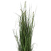 60" IFR PVC Sheep's Grasss Artificial Plant w/Pot -Green - TN171260