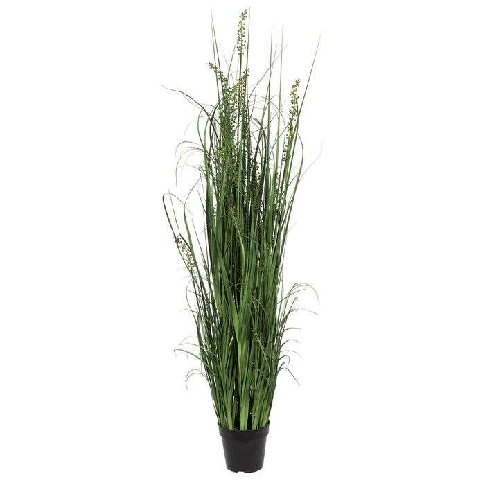 60" IFR PVC Sheep's Grasss Artificial Plant w/Pot -Green - TN171260