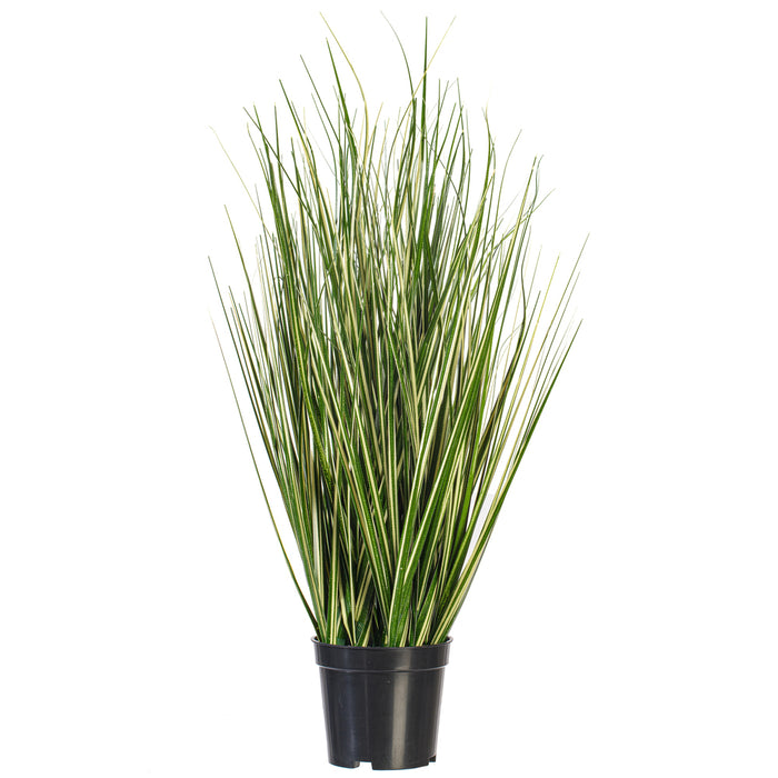 2' Outdoor UV-Resistant Artificial Evergold Grass Plant w/Pot -Green/Cream (Pack of 2) - TN251124UV