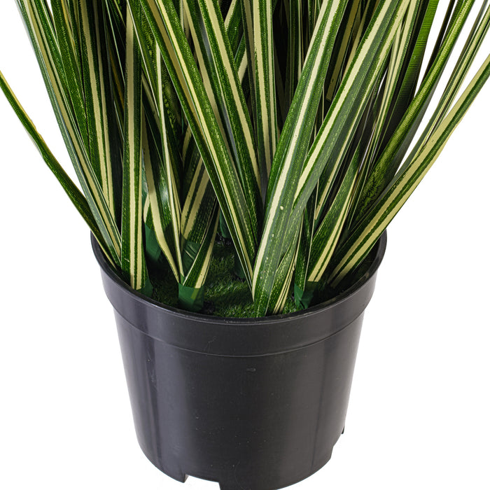 2' Outdoor UV-Resistant Artificial Evergold Grass Plant w/Pot -Green/Cream (Pack of 2) - TN251124UV