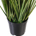 2' Outdoor UV-Resistant Artificial Evergold Grass Plant w/Pot -Green/Cream (Pack of 2) - TN251124UV