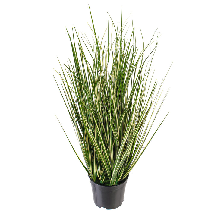 2' Outdoor UV-Resistant Artificial Evergold Grass Plant w/Pot -Green/Cream (Pack of 2) - TN251124UV