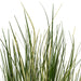 2' Outdoor UV-Resistant Artificial Evergold Grass Plant w/Pot -Green/Cream (Pack of 2) - TN251124UV