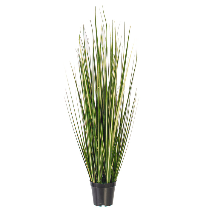 3' Outdoor UV-Resistant Artificial Evergold Grass Plant w/Pot -Green/Cream (Pack of 2) - TN251136UV