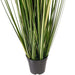 3' Outdoor UV-Resistant Artificial Evergold Grass Plant w/Pot -Green/Cream (Pack of 2) - TN251136UV