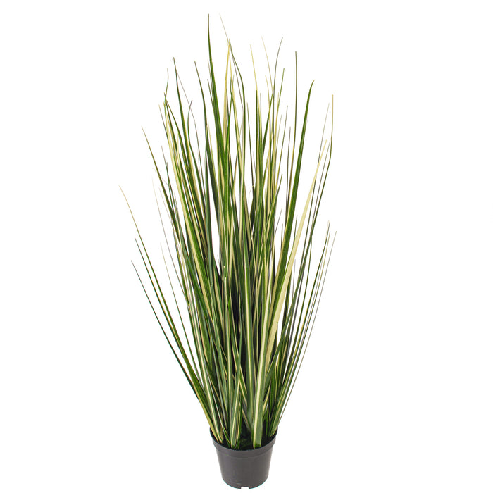 3' Outdoor UV-Resistant Artificial Evergold Grass Plant w/Pot -Green/Cream (Pack of 2) - TN251136UV