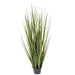 3' Outdoor UV-Resistant Artificial Evergold Grass Plant w/Pot -Green/Cream (Pack of 2) - TN251136UV