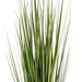 3' Outdoor UV-Resistant Artificial Evergold Grass Plant w/Pot -Green/Cream (Pack of 2) - TN251136UV