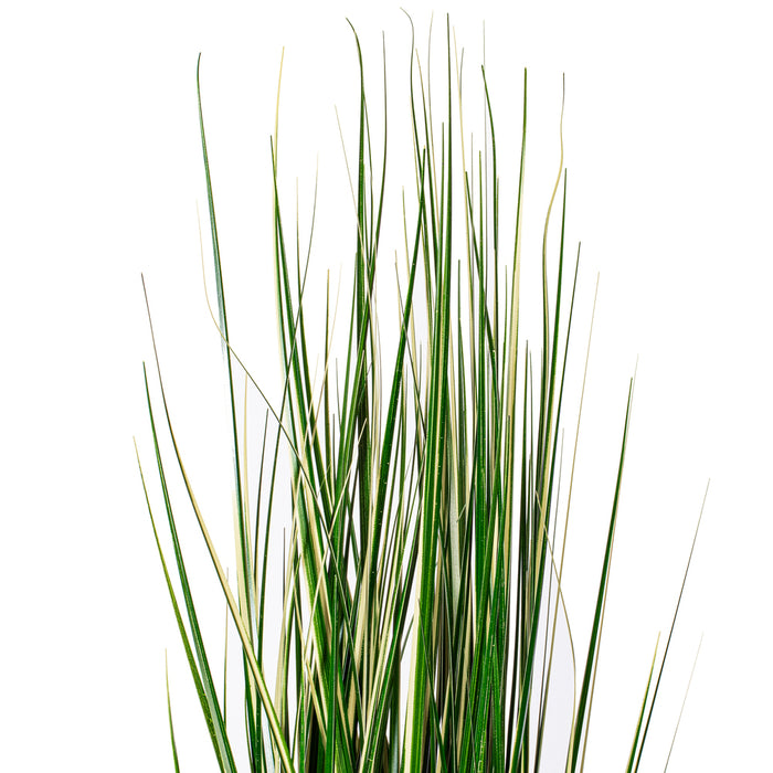 4' Outdoor UV-Resistant Artificial Evergold Grass Plant w/Pot -Green/Cream - TN251148UV