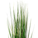 4' Outdoor UV-Resistant Artificial Evergold Grass Plant w/Pot -Green/Cream - TN251148UV
