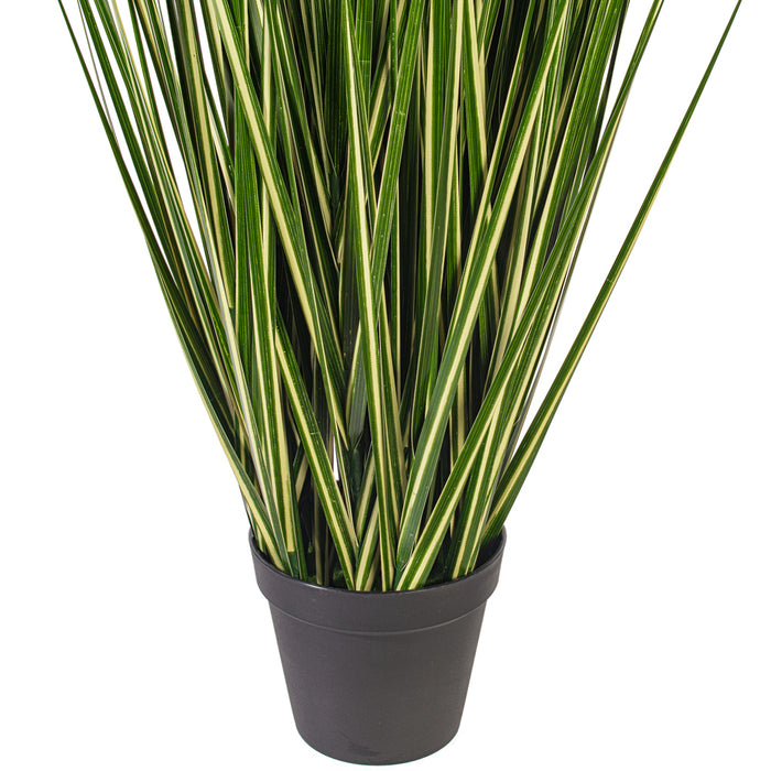 5' Outdoor UV-Resistant Artificial Evergold Grass Plant w/Pot -Green/Cream - TN251160UV