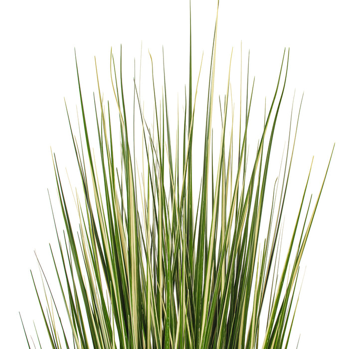 5' Outdoor UV-Resistant Artificial Evergold Grass Plant w/Pot -Green/Cream - TN251160UV