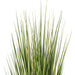5' Outdoor UV-Resistant Artificial Evergold Grass Plant w/Pot -Green/Cream - TN251160UV