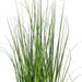24" Lemongrass Artificial Plant w/Pot -Green - TN251524