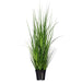 36" Lemongrass Artificial Plant w/Pot -Green - TN251536