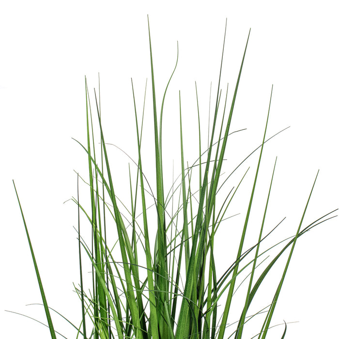 36" Lemongrass Artificial Plant w/Pot -Green - TN251536
