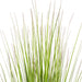60" Lemongrasss Artificial Plant w/Pot -Green - TN251560