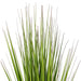 24" Flax Grass Artificial Plant w/Pot -Green/Burgundy - TN251924