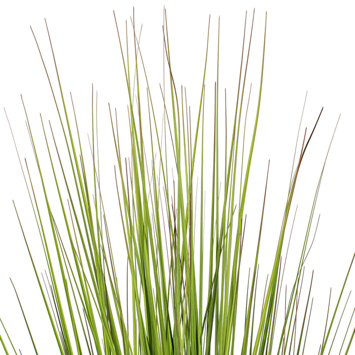 36" Flax Grass Artificial Plant w/Pot -Green/Burgundy - TN251936