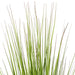 36" Flax Grass Artificial Plant w/Pot -Green/Burgundy - TN251936