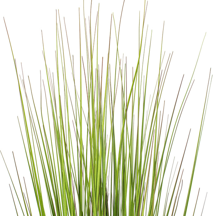48" Flax Grass Artificial Plant w/Pot -Green/Burgundy - TN251948