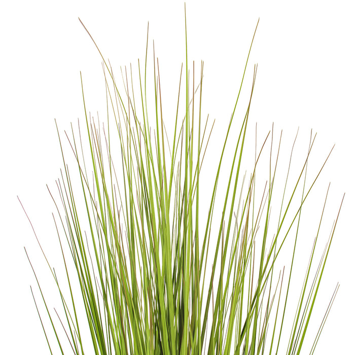 60" Flax Grasss Artificial Plant w/Pot -Green/Burgundy - TN251960