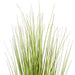 60" Flax Grasss Artificial Plant w/Pot -Green/Burgundy - TN251960