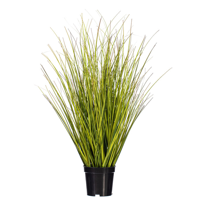 24" Switchgrass Artificial Plant w/Pot -Green/Brown - TN252324